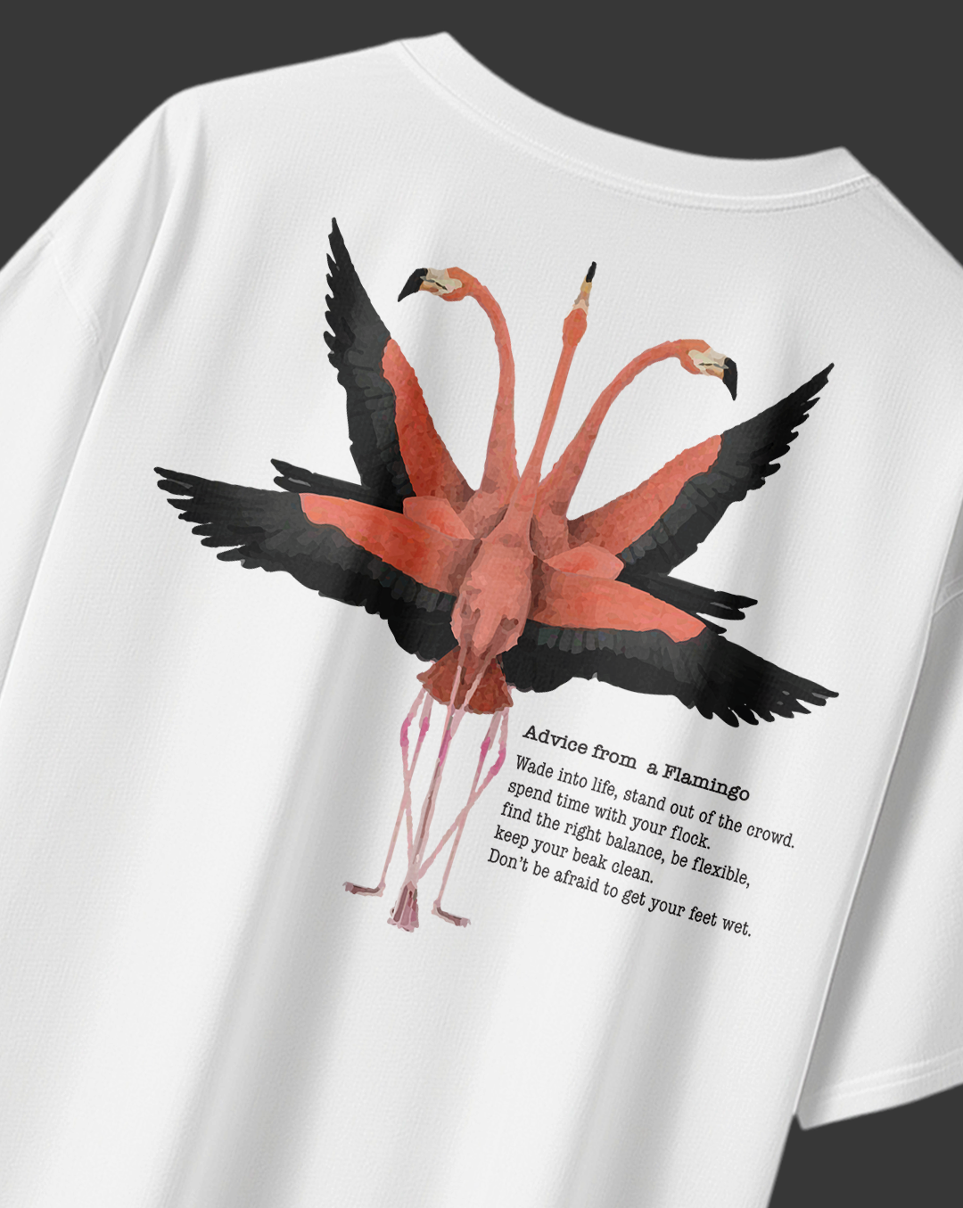 Advice from a Flamingo